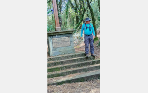 68de318bce12e_20251001ForetLaBauleEscoublac1.jpg