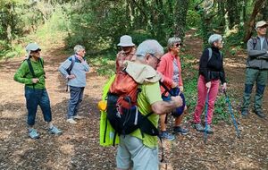 68de318c1e3d9_20251001ForetLaBauleEscoublac3.jpg