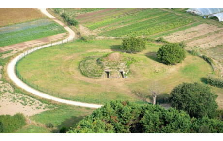 REPRISE DES ACTIVITÉS