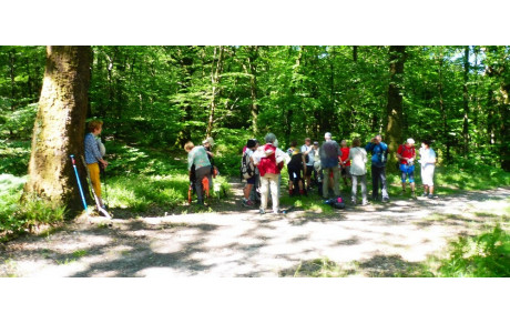 Week End Vouvent avec la fée Mélusine 
