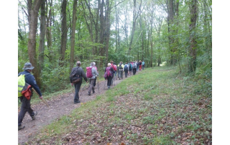 Programme des randonnées du 4ème trimestre 2021