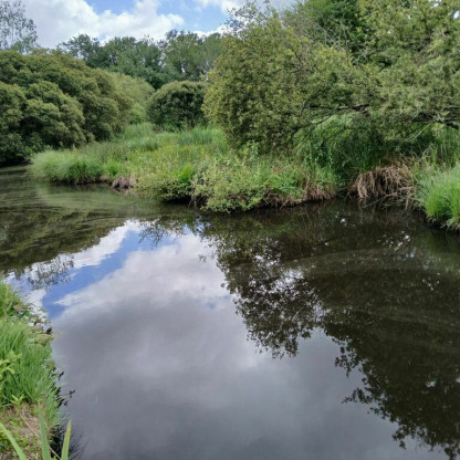 Le 20 Mai, La Chapelle des Marais Colvert