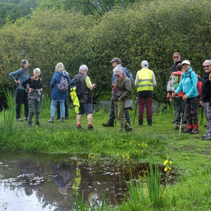 Le 20 Mai, La Chapelle des Marais Colvert